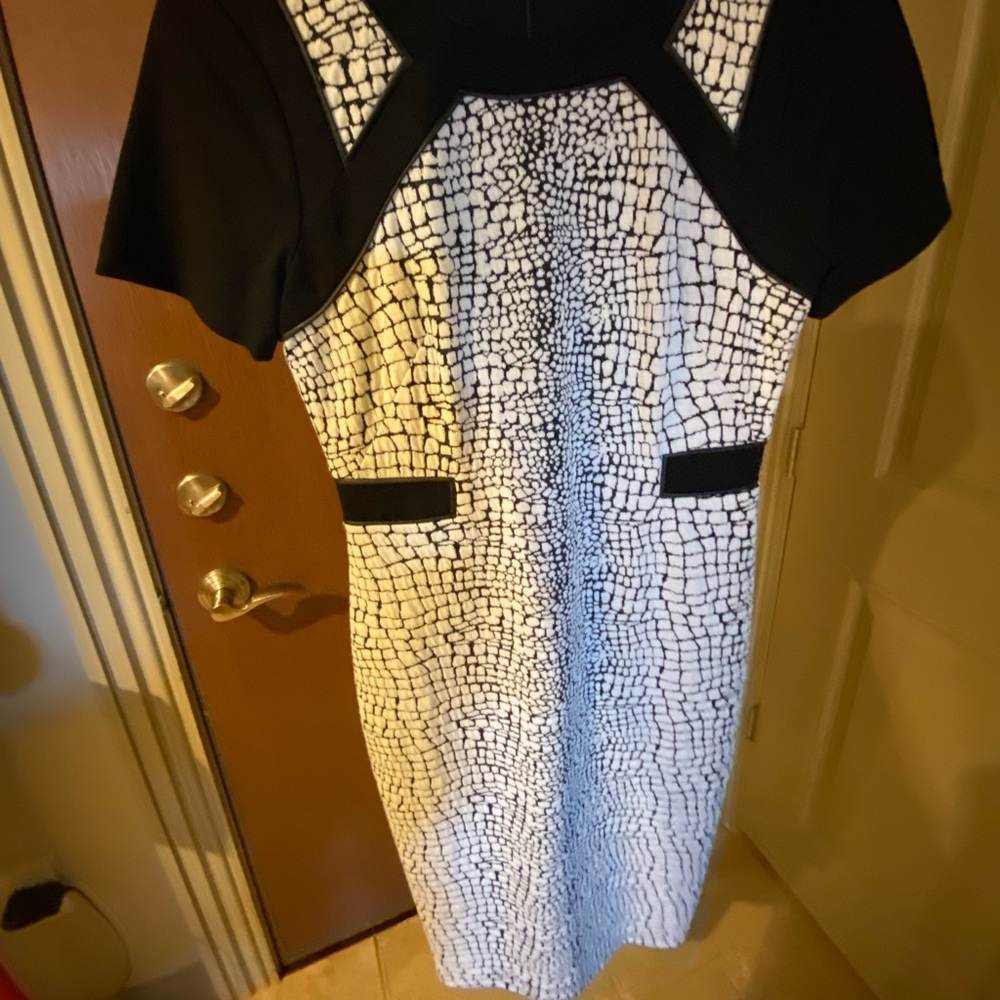 Ivy and blu size 2 black and white dress